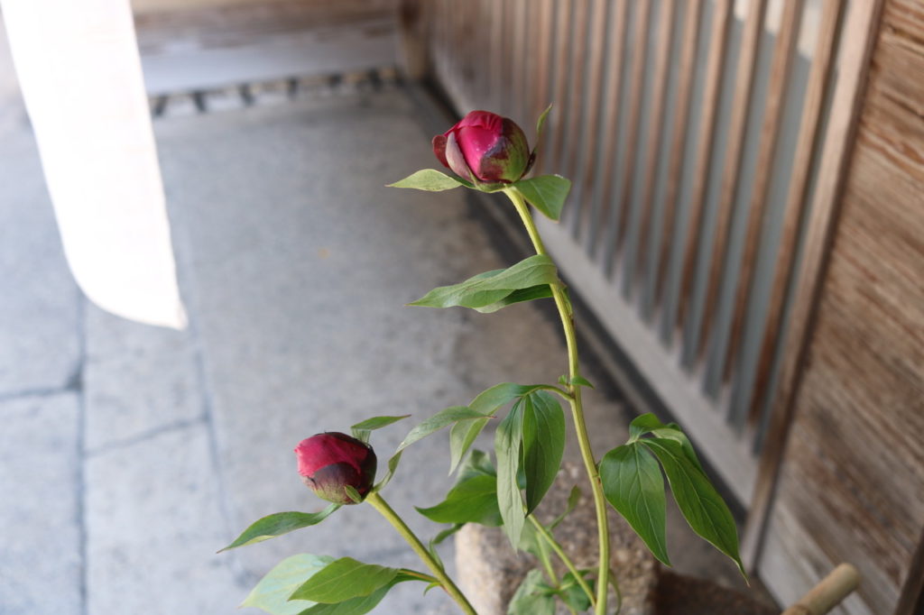 茜庵　季節のお菓子