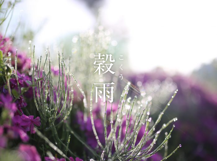 あかねごよみ 菓游 茜庵