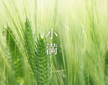 二十四節気　小満